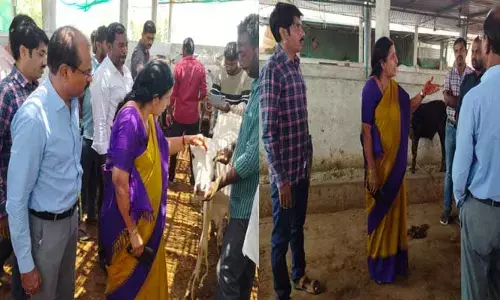 Goshalas: కమిషనర్ ఆదేశాలతో కదిలిన యంత్రాంగం