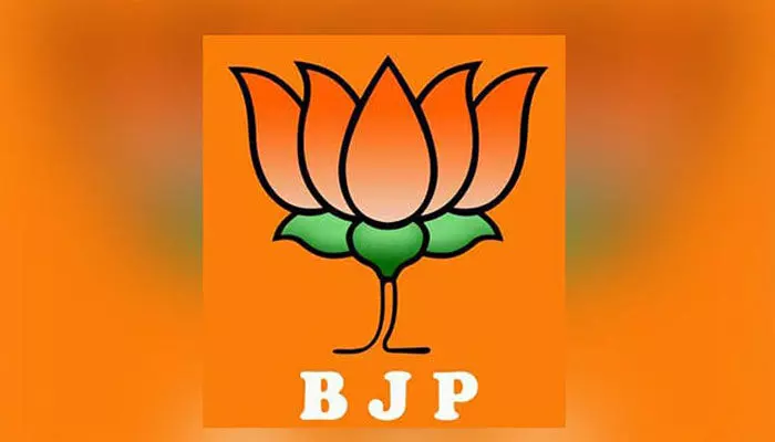 గ్రాడ్యుయేట్ ఎమ్మెల్సీపై బీజేపీ ఫోకస్.. రేసులో కిషన్ రెడ్డి సన్నిహితుడు! గ్రాడ్యుయేట్ ఎమ్మెల్సీపై బీజేపీ ఫోకస్.. రేసులో కిషన్ రెడ్డి సన్నిహితుడు!