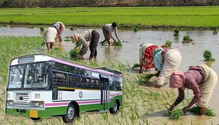 ఫ్రీ బస్సు పథకం భారం మా రైతుల మీదనే పడుతుంది! ఓ రైతు కామెంట్