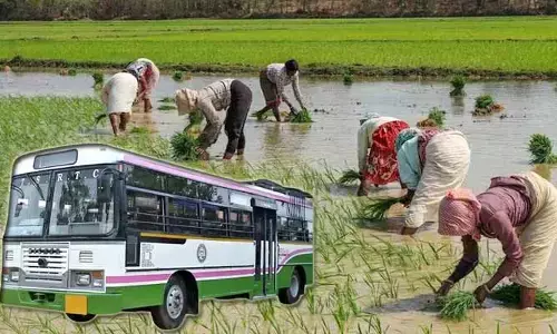 ఫ్రీ బస్సు పథకం భారం మా రైతుల మీదనే పడుతుంది! ఓ రైతు కామెంట్