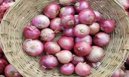 4 నెలల నిషేధం తర్వాత ఉల్లి ఎగుమతులకు కేంద్రం అనుమతి