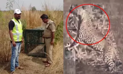 BREAKING: శంషాబాద్ ఎయిర్‌పోర్టు పరిసరాాల్లో హై అలర్ట్.. కొనసాగుతోన్న ఆపరేషన్ ‘చిరుత’