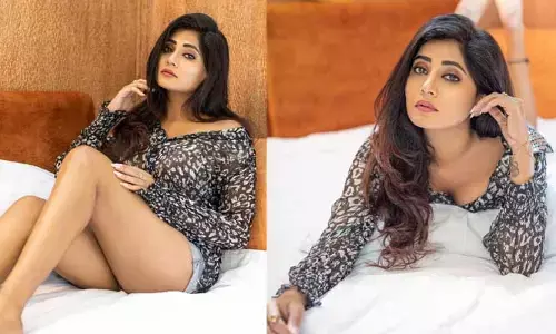 సెలబ్రిటీలు డబ్బులు కోసమే అలాంటి పనులు చేస్తారు.. బిగ్‌బాస్ వాసంతి సెన్సేషనల్ కామెంట్స్