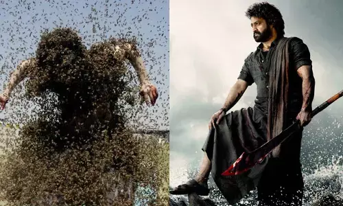 BREAKING: దేవర మూవీ యూనిట్‌పై తేనెటీగల దాడి.. ఆందోళనలో ఎన్టీఆర్ ఫ్యాన్స్