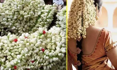 మల్లెపూలతో మూడ్ పెరగడం మాత్రమే కాదు.. ఆ ప్రయోజనాలు కూడా ఉన్నాయి..