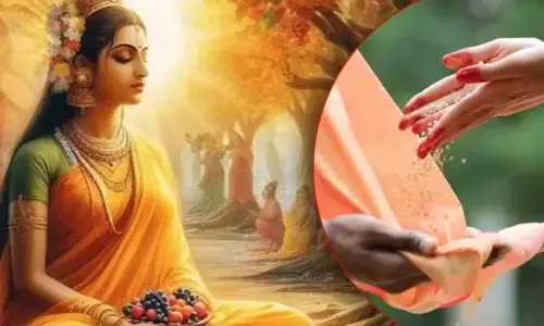 సీతా నవమి నాడు ఈ వస్తువులను దానం చేస్తున్నారా.. ఆనందం మీ సొంతం..