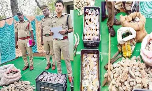 weapons: నేతల ఇల్లలో వెలుగుచూసిన మారణాయుధాలు.. ఆంధ్రాలో అసలేం జరుగుతోంది..?