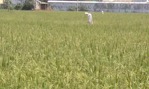 ఖరీఫ్ పంటల పై సర్కారు నిర్లక్ష్యం..ఆందోళనలో రైతులు