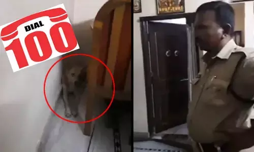 Trending: డయల్-100‌కు కాల్ చేసిన వ్యక్తి.. వచ్చి చూసేసరికి పోలీసుల మైండ్ బ్లాంక్ అంతే (వీడియో వైరల్)