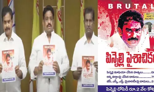 Pinnelli Paisachikam: పిన్నెల్లి పై పుస్తకం.. విడుదల చేసిన టీడీపీ నేతలు