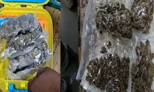 Drugs in Students Lunch Box: విద్యార్ధుల లంచ్ బాక్స్‌లో డ్రగ్స్ కలకలం..