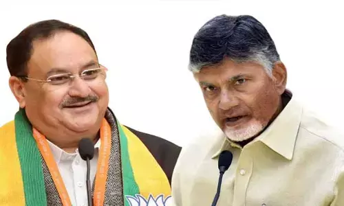 Delhi: జేపీ నడ్డాతో చంద్రబాబు సమావేశం.. కీలక అంశాలపై చర్చ