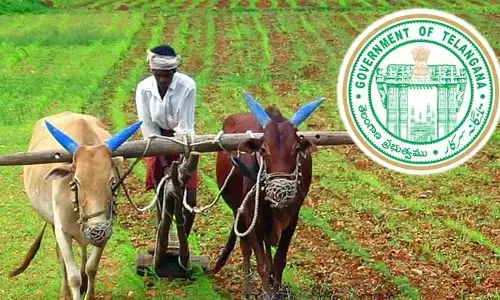 BREAKING: తెలంగాణ రైతులకు బిగ్ అలర్ట్.. రూ.2 లక్షల రుణమాఫీ గైడ్ లైన్స్ రిలీజ్