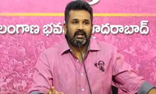 High Court : బీఆర్ఎస్ నేతకు షాక్ ఇచ్చిన హైకోర్టు