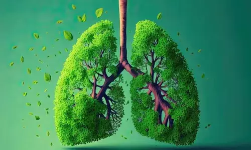 lungs: భోగి మంటల్లో ఇవి వేస్తున్నారా.. లంగ్స్ ఆరోగ్యం పాడైపోయినట్లే?
