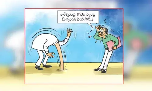 కాళేశ్వరం, గొర్రెల స్కామ్‌కు సంబంధించిన కార్టూన్ (17-6-2024)