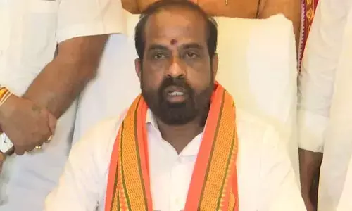ఏపీకి దీపావళి ముందే వచ్చింది.. మంత్రి సత్య కుమార్