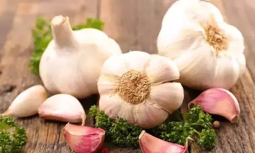 Garlic: వెల్లుల్లి తింటే ఆ అనారోగ్య సమస్యలకు చెక్ పెట్టొచ్చు!