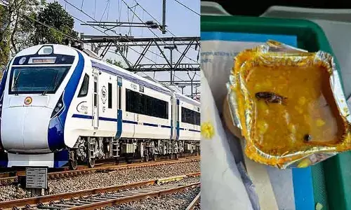 ‘వందే భారత్’ లంచ్‌లో చచ్చిన బొద్దింక.. షాకైన జంట.. రైల్వే ఏమన్నదంటే?