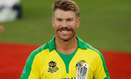 David Warner : సినిమాల్లోకి ఎంట్రీ ఇచ్చిన డేవిడ్ వార్నర్