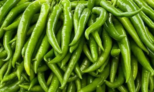 Green Chilli: పచ్చి మిర్చి తినడం వల్ల ఇన్ని లాభాలున్నాయా?