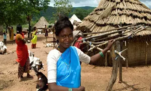 చెంచు పెంటలకు రక్షణ ఏది?