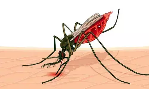 వానాకాలం.. జబ్బులతో జాగ్రత్త..!?