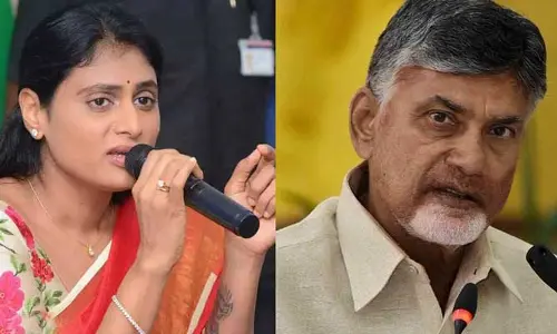అలా మాయ చేయడం బాబుకే తెలిసిన విద్య.. అవరావతి భూసేకరణపై షర్మిల సంచలన విమర్శలు