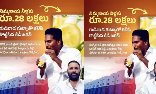 28 lakhs for lemon water: నిమ్మకాయ నీళ్లు 28 లక్షలు.. ఆశ్చర్యంలో ప్రజలు..