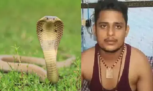 ఉత్తరప్రదేశ్ లో వింత!.. ఓ వ్యక్తికి ప్రతి శనివారం పాము కాటు.. విచారణకు ఆదేశించిన అధికారులు