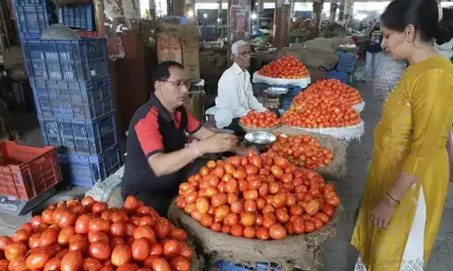 వర్షాల కారణంగా దేశ రాజధానిలో రూ.90కి చేరిన కిలో టమాటా