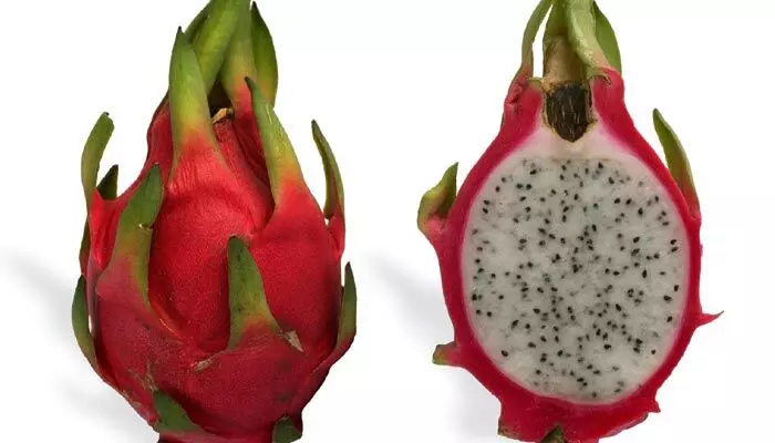 Dragon fruit: ప్రతిరోజూ అరముక్క డ్రాగన్ ఫ్రూట్ తినండి.. ఈ వ్యాధులన్నీ పరార్..!! Dragon fruit: ప్రతిరోజూ అరముక్క డ్రాగన్ ఫ్రూట్ తినండి.. ఈ వ్యాధులన్నీ పరార్..!!