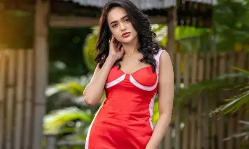 ఆ పార్ట్ చిన్నగా ఉండటంతో ఆఫర్లు రావడం లేదు.. సర్జరీ చేయించుకున్నానంటూ బిగ్‌బాస్ బ్యూటీ షాకింగ్ కామెంట్స్!