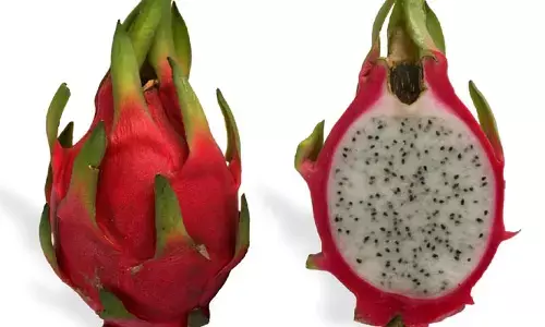 Dragon fruit: ప్రతిరోజూ అరముక్క డ్రాగన్ ఫ్రూట్ తినండి.. ఈ వ్యాధులన్నీ పరార్..!!