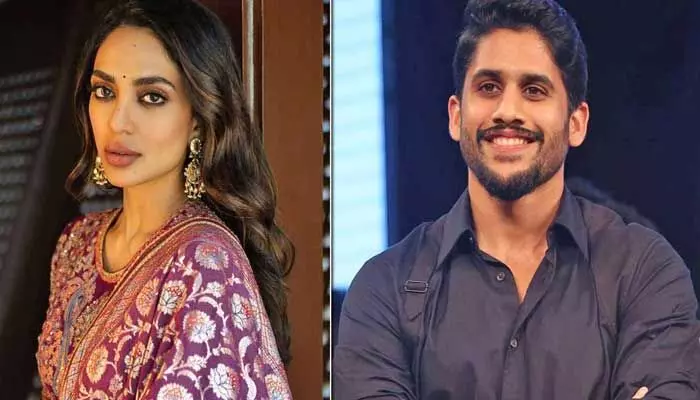 శోభితా ధూళిపాళ ఇన్స్టా పోస్ట్పై నాగచైతన్య రియాక్షన్ ఇదే.. షాక్లో నెటిజన్లు శోభితా ధూళిపాళ ఇన్స్టా పోస్ట్పై నాగచైతన్య రియాక్షన్ ఇదే.. షాక్లో నెటిజన్లు