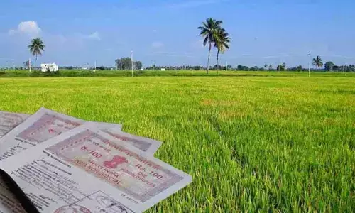 పెద్ద ఎత్తున అక్కడ భూముల కొనుగోలు.. ఇరిగేషన్ ఆఫీసర్ల ఫ్యూచర్ ప్లాన్!