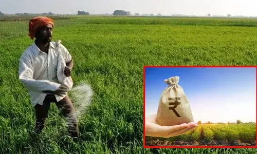 Crop Loans : రైతులకు సర్కార్ గుడ్ న్యూస్.. జిల్లాల వారీగా రుణమాఫీ వివరాలు ఇవే