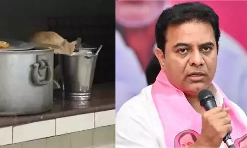 JNTU హాస్టల్‌లో ఆహారం తింటున్న పిల్లి.. KTR సెన్సేషనల్ ట్వీట్