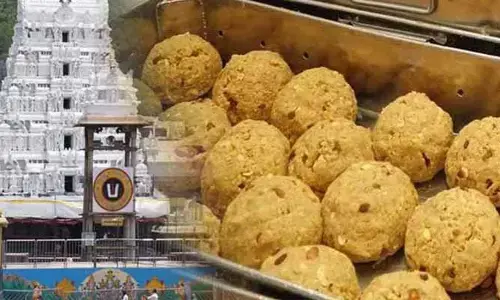 Tirumala: శ్రీవారి లడ్డూ ప్రసాదంపై దుష్ప్రచారం.. టీటీడీ ఆగ్రహం
