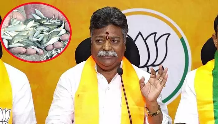 BJP OBC Morcha : చేప పిల్లల బిడ్డింగ్లో రూ.100 కోట్ల అక్రమాలు BJP OBC Morcha : చేప పిల్లల బిడ్డింగ్లో రూ.100 కోట్ల అక్రమాలు