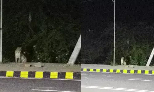 Srisailam:శ్రీశైలంలో మరోసారి చిరుత సంచారం..భయాందోళనలో స్థానికులు