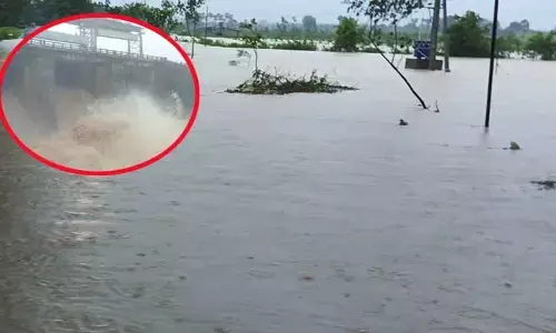 Bhadradri Flooding: వరదలో చిక్కుకున్న ఐదుగురు.. చెట్ల పైకి ఎక్కి సాయంకోసం అరుపులు