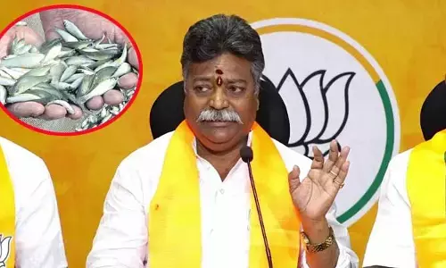 BJP OBC Morcha : చేప పిల్లల బిడ్డింగ్‌లో రూ.100 కోట్ల అక్రమాలు