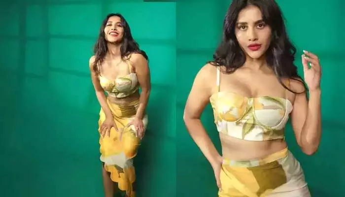 అందంతో చంపేస్తున్న ఇస్మార్ట్ బ్యూటీ.. లేటెస్ట్ ఫోటోస్ వైరల్ అందంతో చంపేస్తున్న ఇస్మార్ట్ బ్యూటీ.. లేటెస్ట్ ఫోటోస్ వైరల్