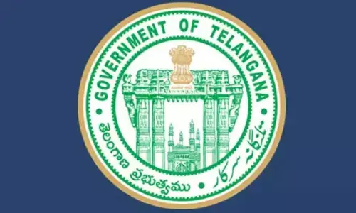 GO 317 : కేబినెట్‌ సబ్‌కమిటీకి కన్సల్టెంట్‌ నియామకం