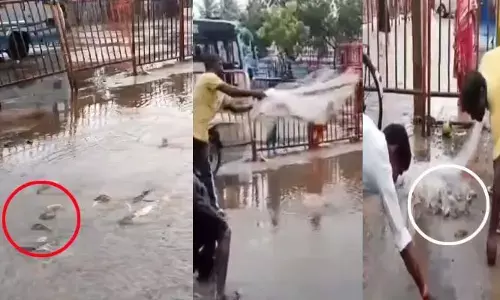 Fishing: వర్షాల ఎఫెక్ట్.. రోడ్లపై ఈత కొట్టిన చేపలు! వల వేసి పట్టుకున్న జనం
