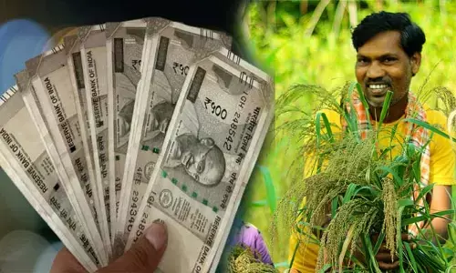 Farmers Subsidy: రైతులకు కేంద్రం మరో గుడ్ న్యూస్.. వారికి మూడేళ్ల పాటు సబ్సిడీ