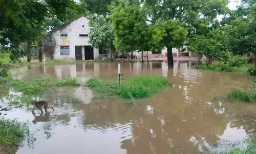 Rain Effect : చెరువును తలపిస్తున్న స్కూల్..