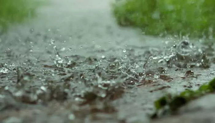 Rain Alert : కొనసాగుతున్న వాయుగుండం.. రాష్ట్రంలో ఆ జిల్లాల్లో అతి భారీ వర్షాలు Rain Alert : కొనసాగుతున్న వాయుగుండం.. రాష్ట్రంలో ఆ జిల్లాల్లో అతి భారీ వర్షాలు