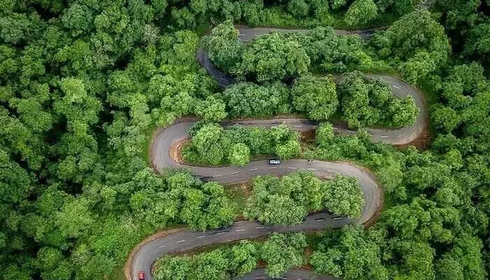 Heavy Rains:భారీ వర్షాల ఎఫెక్ట్..ఆ జిల్లాలోని ఘాట్ రోడ్లు మూసివేత Heavy Rains:భారీ వర్షాల ఎఫెక్ట్..ఆ జిల్లాలోని ఘాట్ రోడ్లు మూసివేత